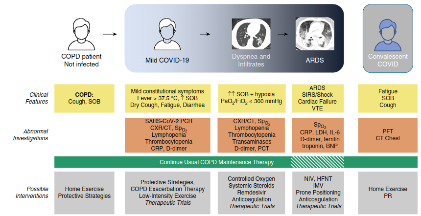 Gráfico obtenido del artículo publicado en abierto: Global Initiative for the Diagnosis, Management, and Prevention of Chronic Obstructive Lung Disease. The 2020 GOLD Science Committee Report on COVID-19 and Chronic Obstructive Pulmonary Disease