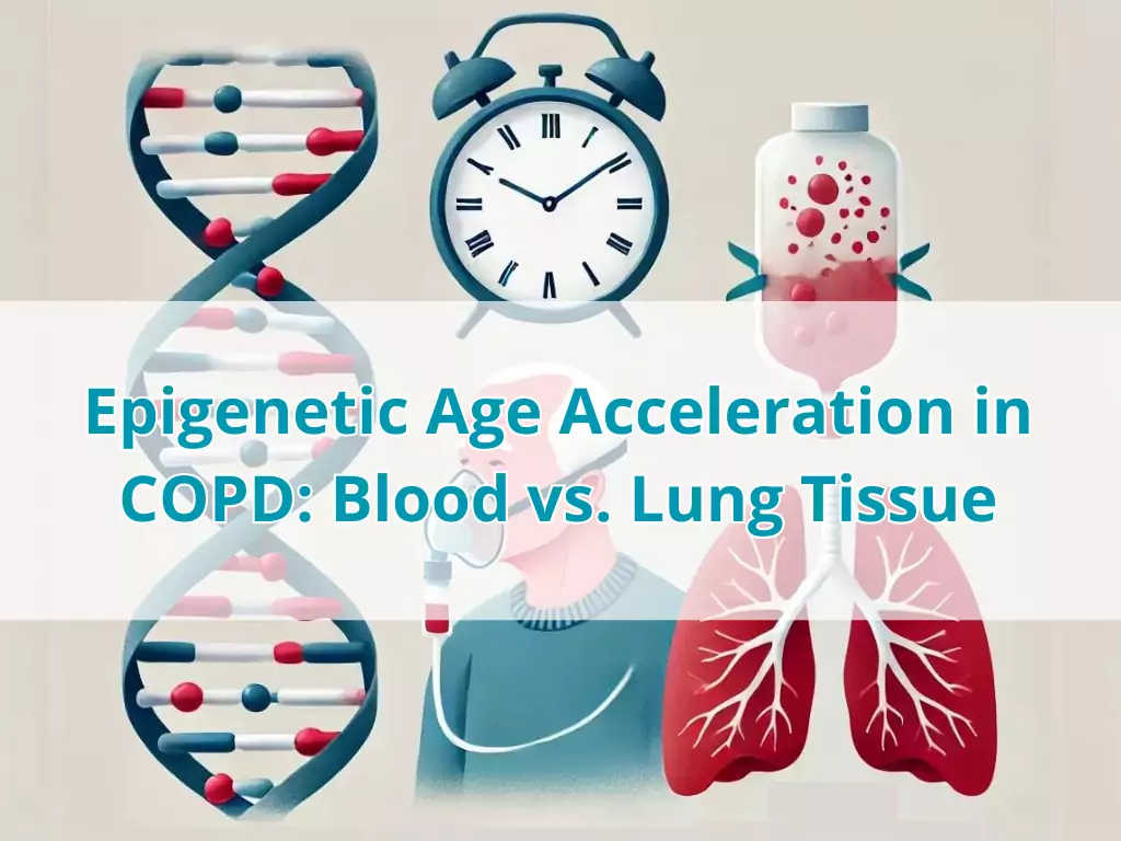 Epigenetic Age Acceleration in COPD Blood vs. Lung Tissue