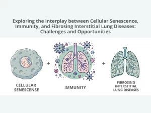 Cellular senescence in fibrosing interstitial lung diseases (f-ILDs)