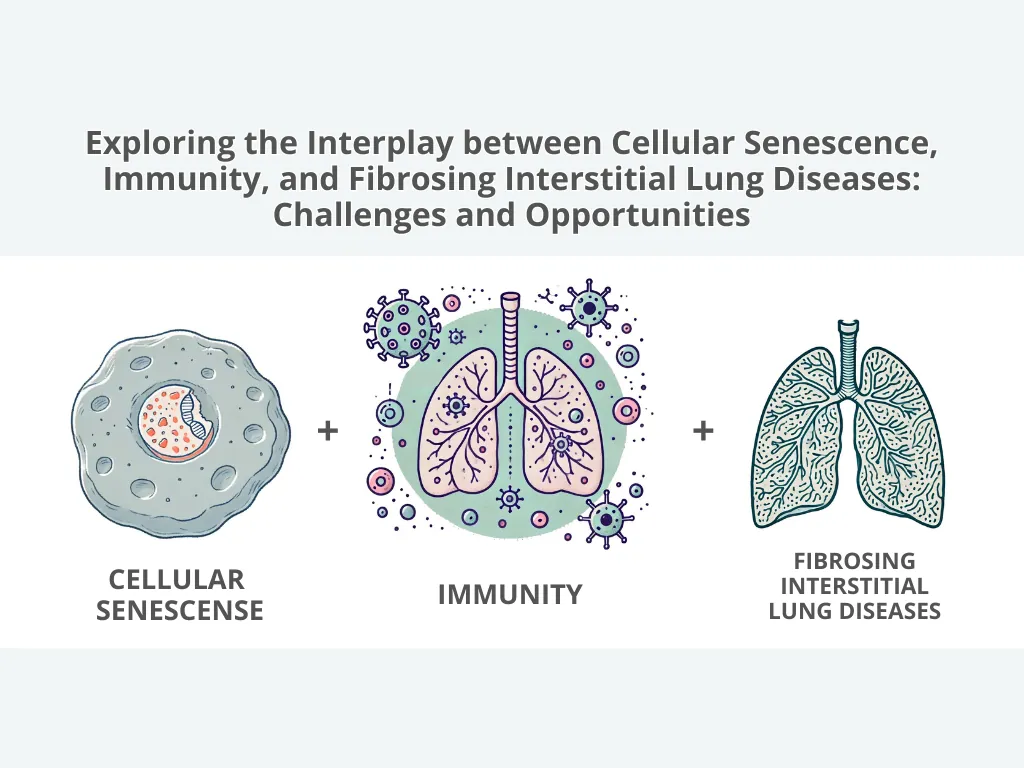 Exploring the Interplay between Cellular Senescence, Immunity, and Fibrosing Interstitial Lung Diseases: Challenges and Opportunities