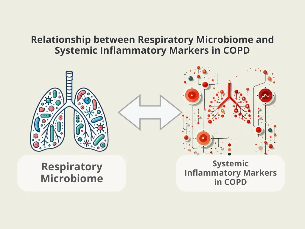 Respiratory microbiome and systemic inflammation in COPD